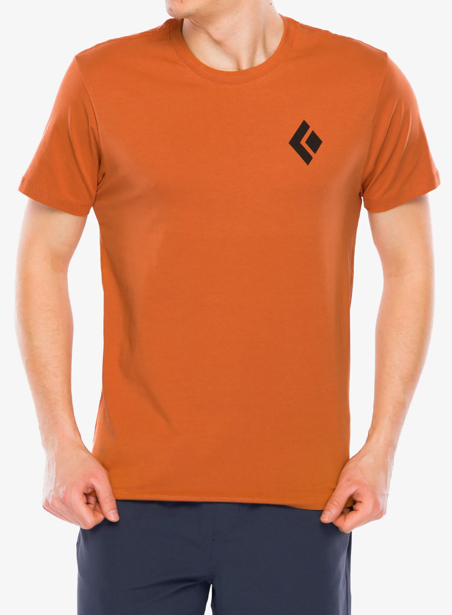 BlackDiamondEquipmentForAlpinistTee_moabbrow793661673897a.webp