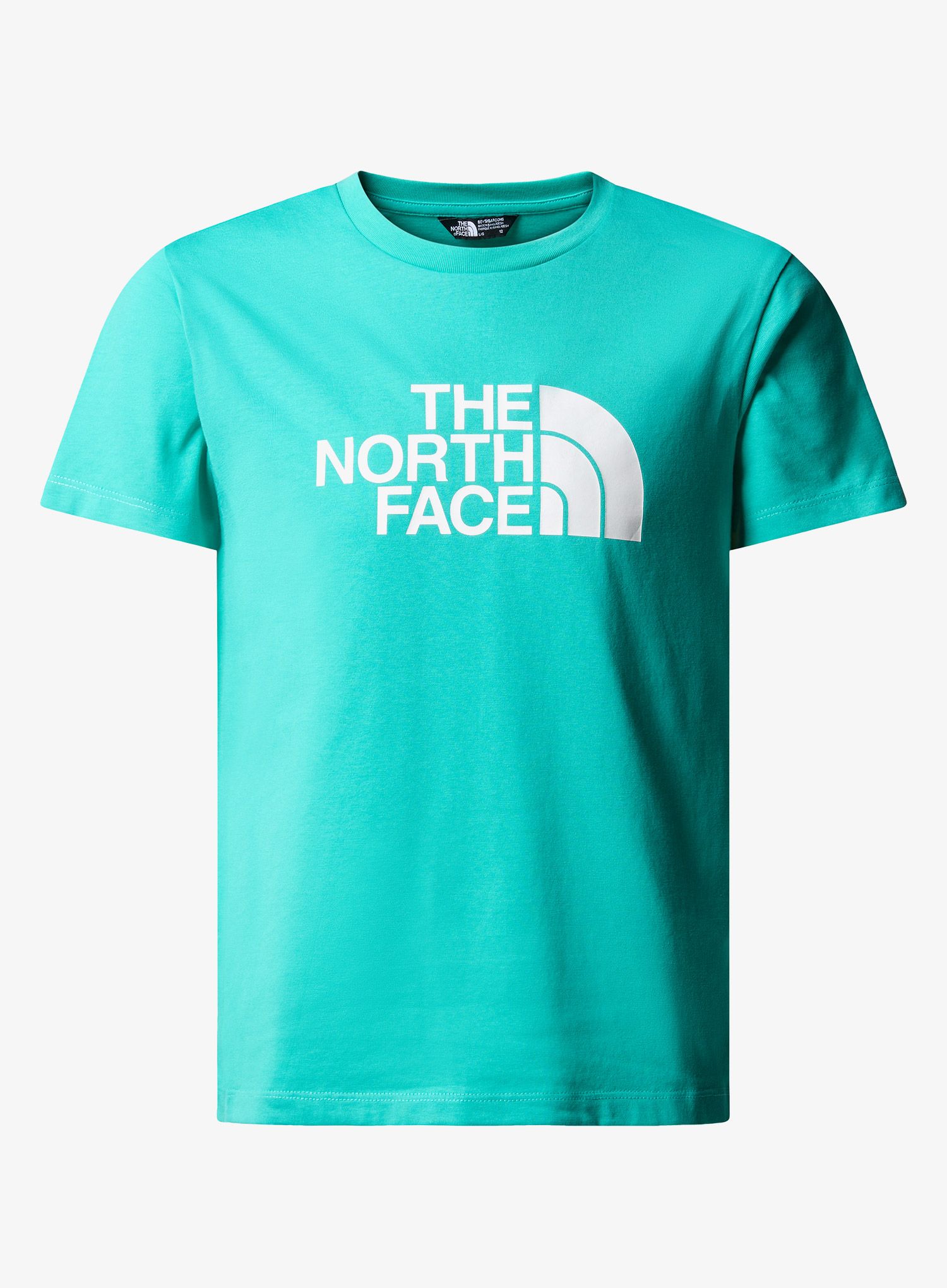 TheNorthFaceSSEasyTee_geyseraqua_196575462050a.jpg