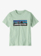 PatagoniaP_6LogoT_Shirt_thinice_794.webp