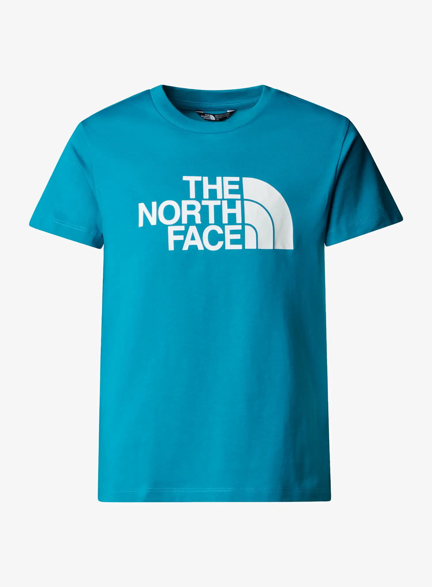 TheNorthFaceSSEasyTee_digitalsteel_197642751145a.webp