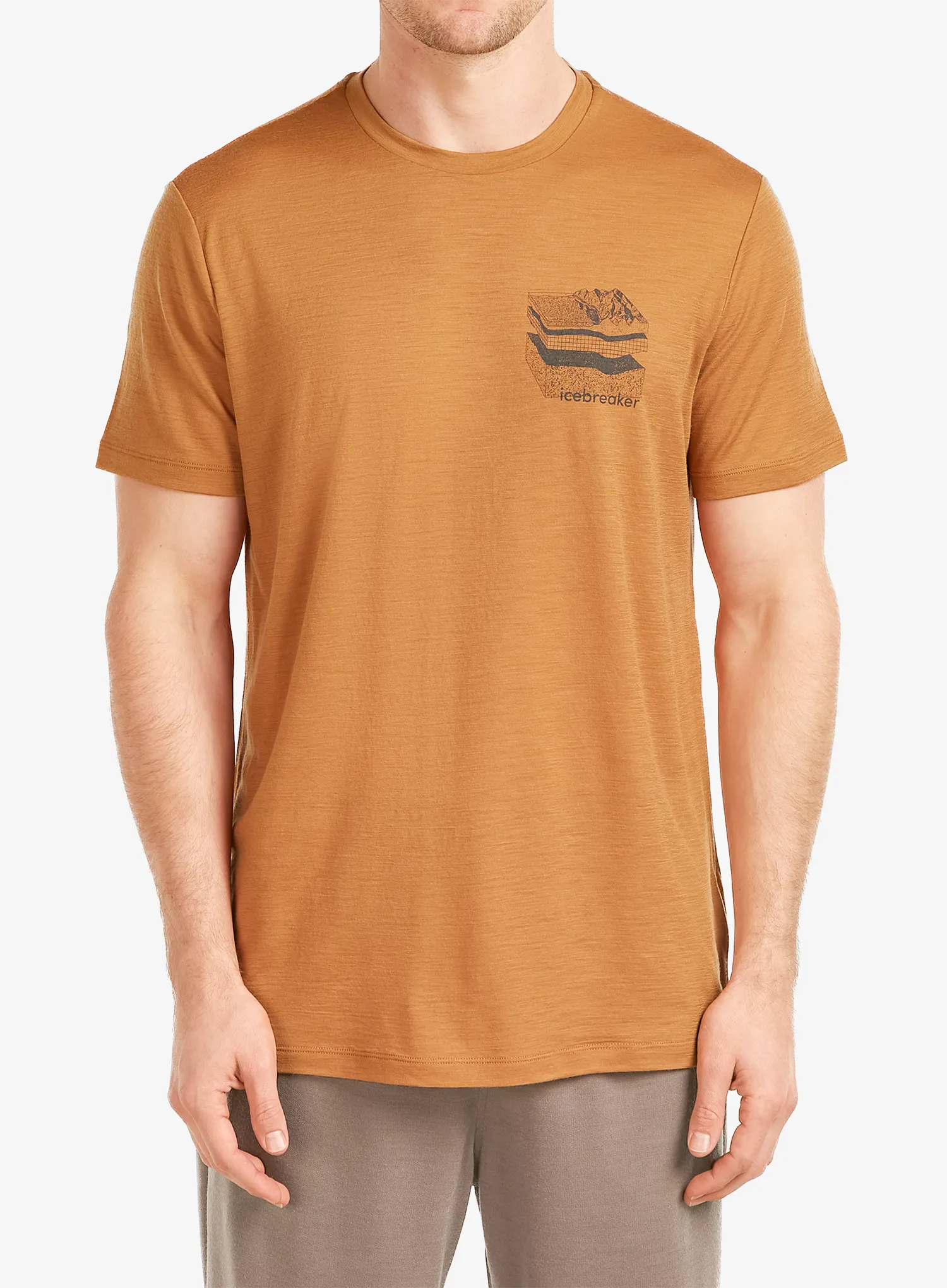 qweIcebreakerMerino150TechLiteSSTeeEvolvingLayerstrail198265723946a.webp