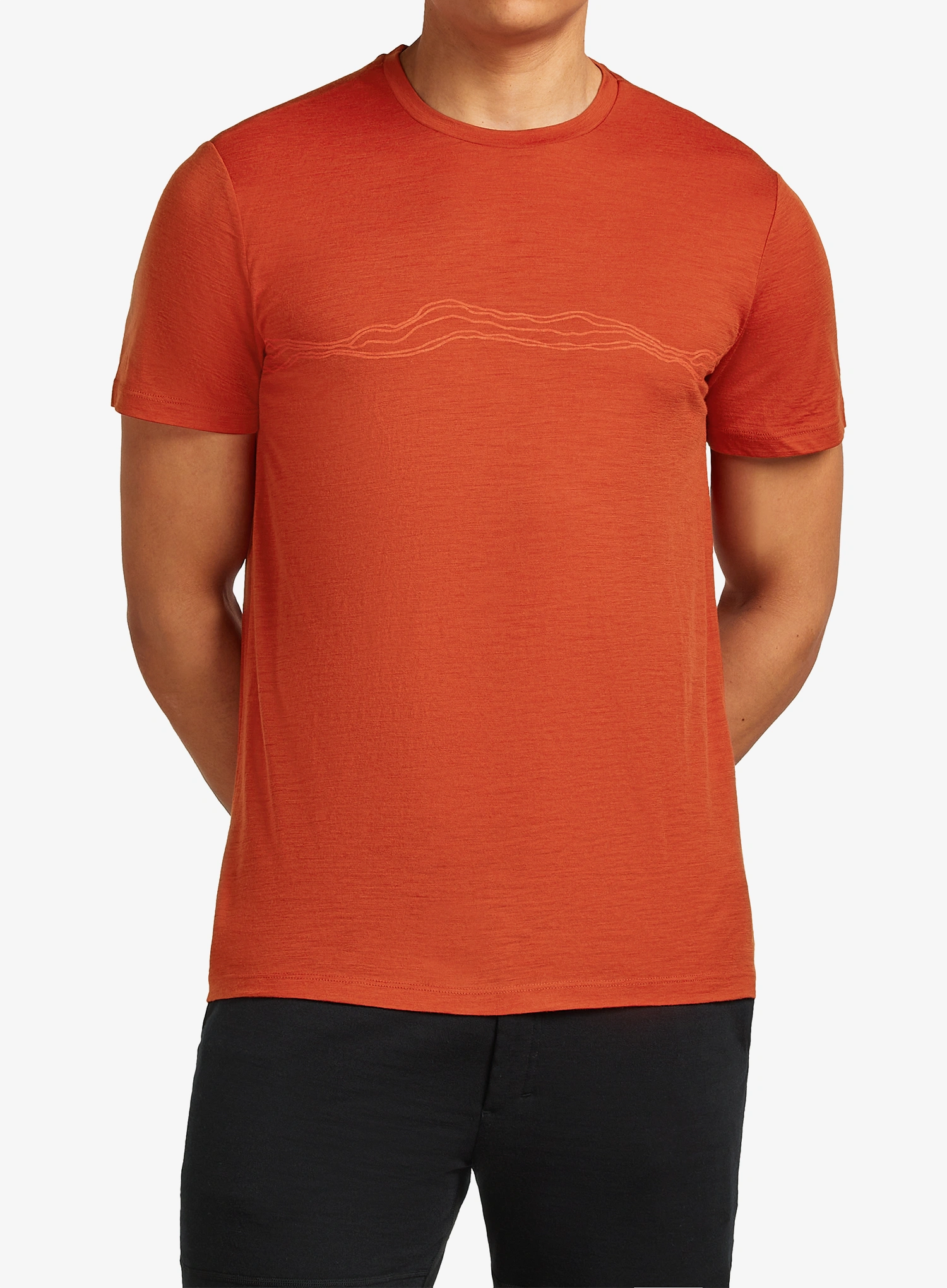 qweIcebreakerMerino150TechLiteSSTeeMountainPulse_agate198265223446a.webp