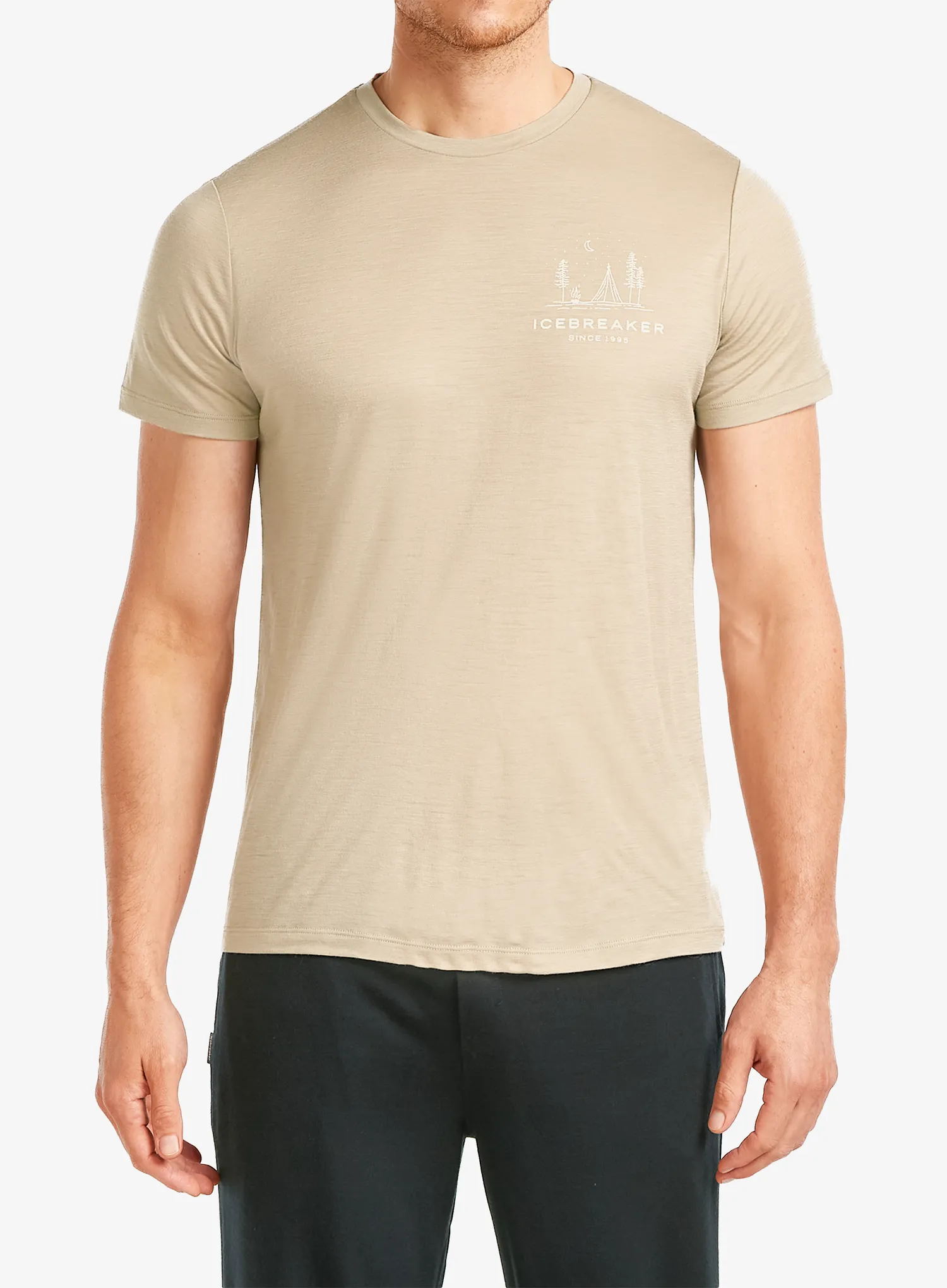 qweIcebreakerMerino150TechLiteSSTeePeacefulPassflagstone198265722734a.webp