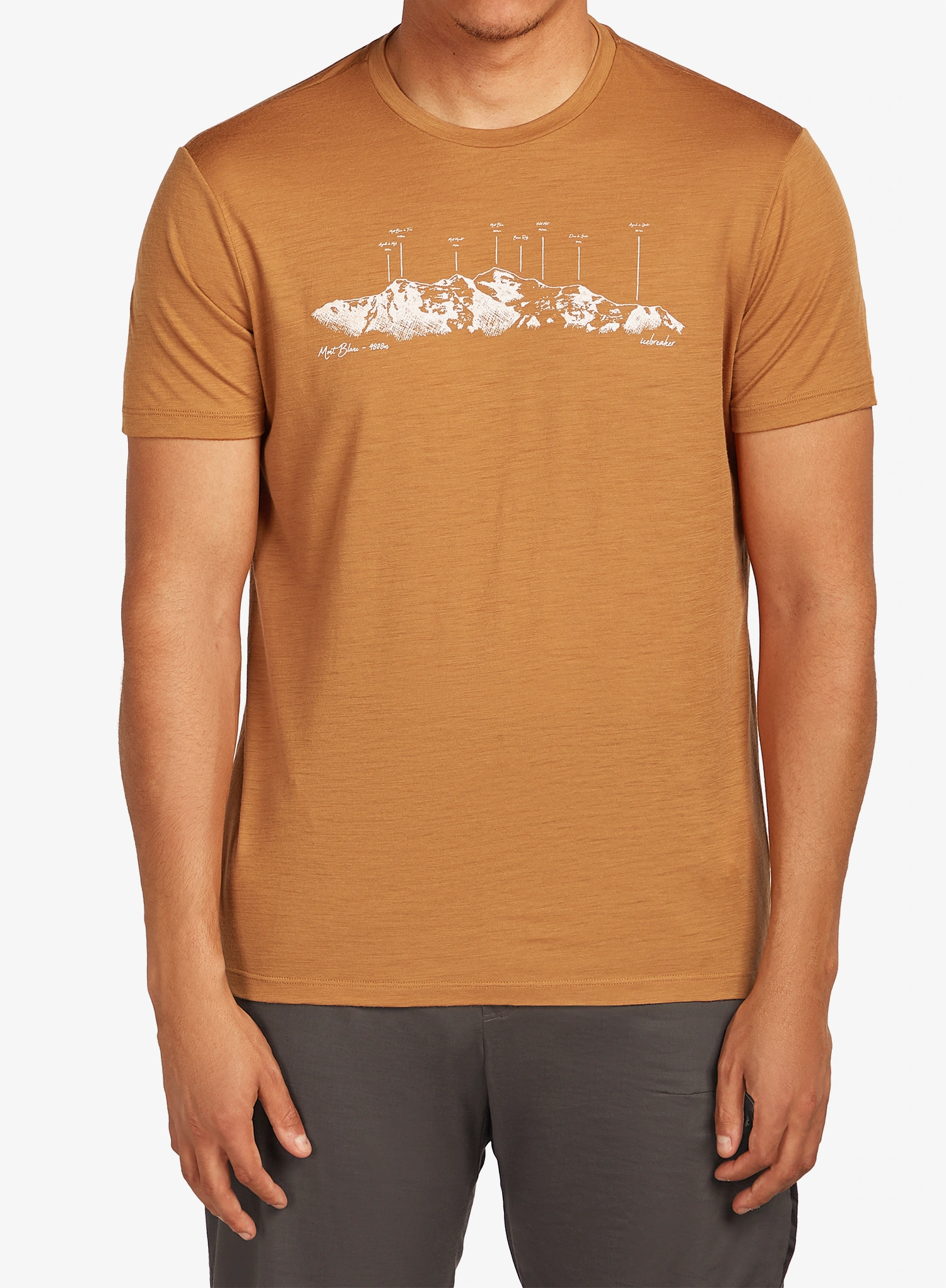 qweIcebreakerMerino150TechLiteSSTeeThePeaks_trail198265224993a.webp