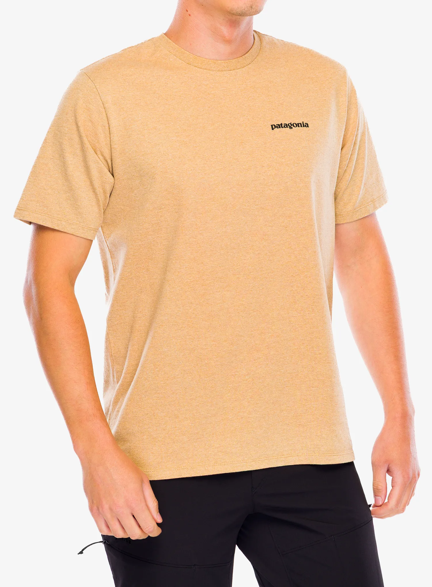 PatagoniaP_6LogoResponsibili_Tee_talongold_198077238270_244.webp