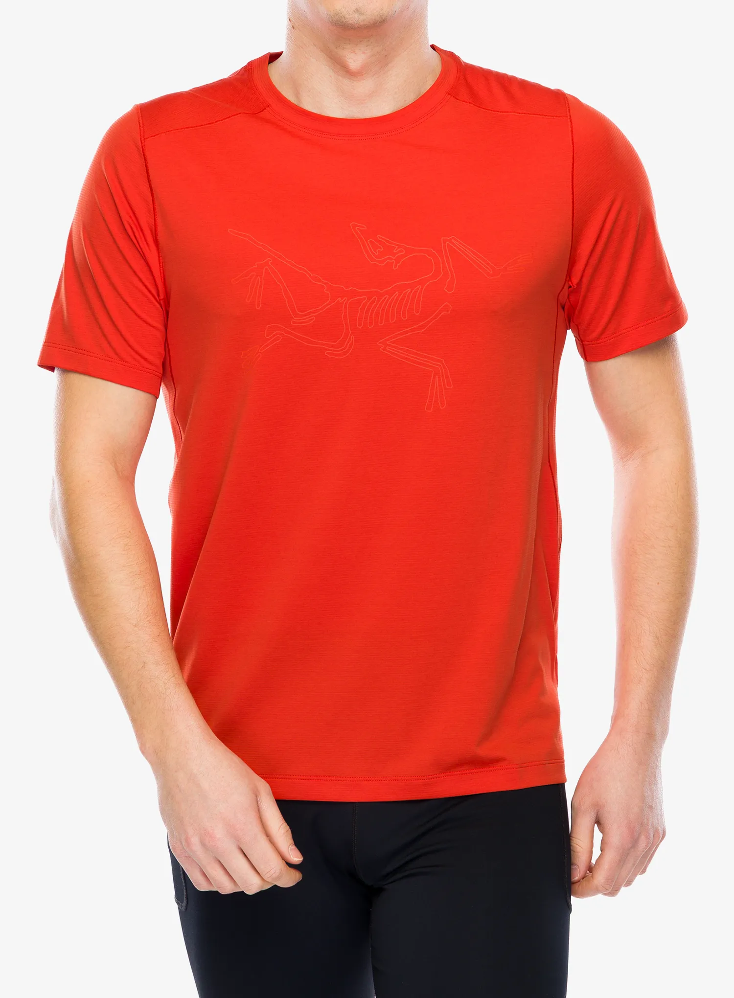ArcteryxCormacLogoShirtSS_dynastyheather623555589815a.webp