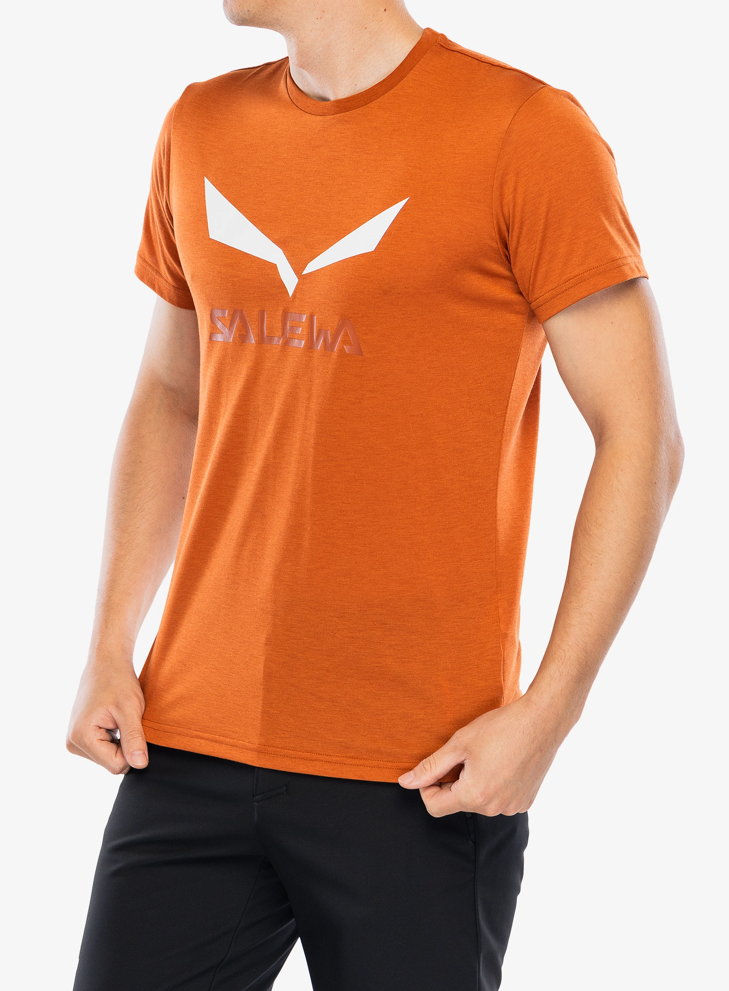 SalewaSolidlogoDryT_shirt_bombaybrown4053866807333a.webp