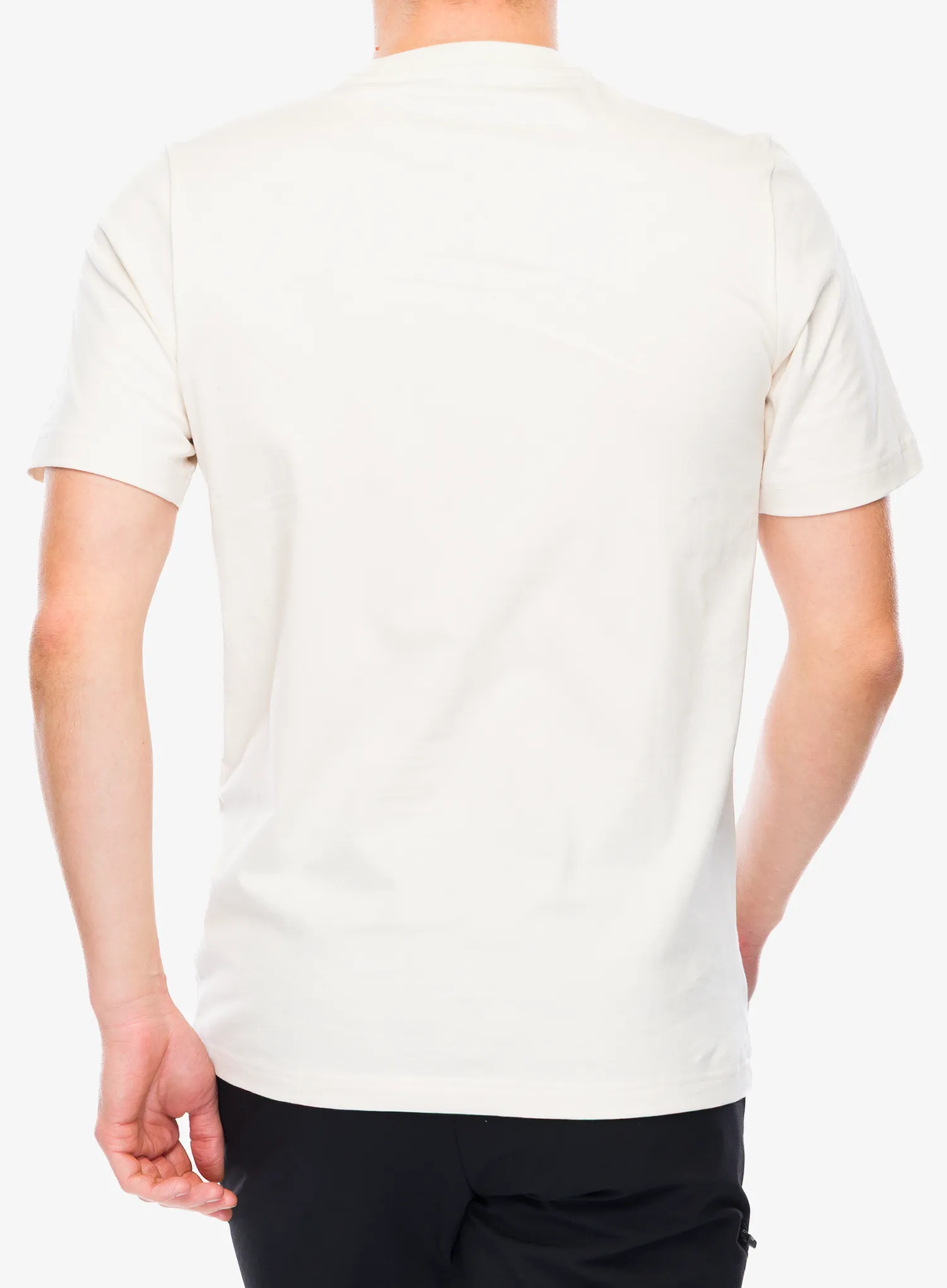 Тениска с щампа adidas TERREX Wild Tee - wonder white