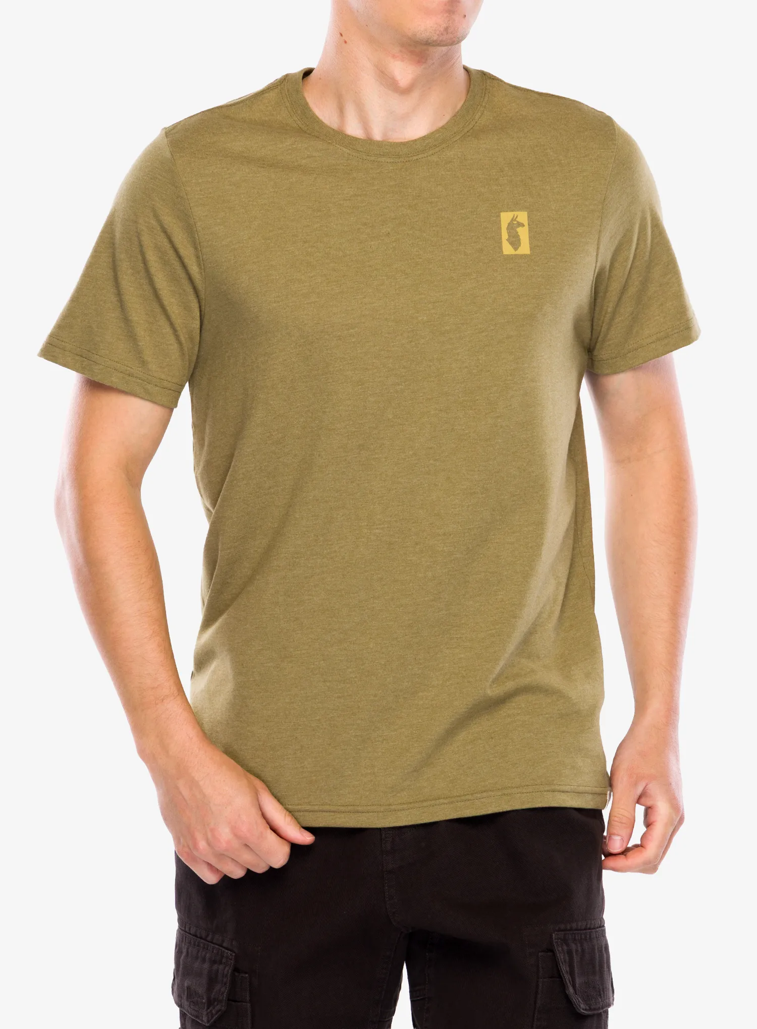 CotopaxiGearForGoodStripesT_Shirt_moss_196928176443_001.webp