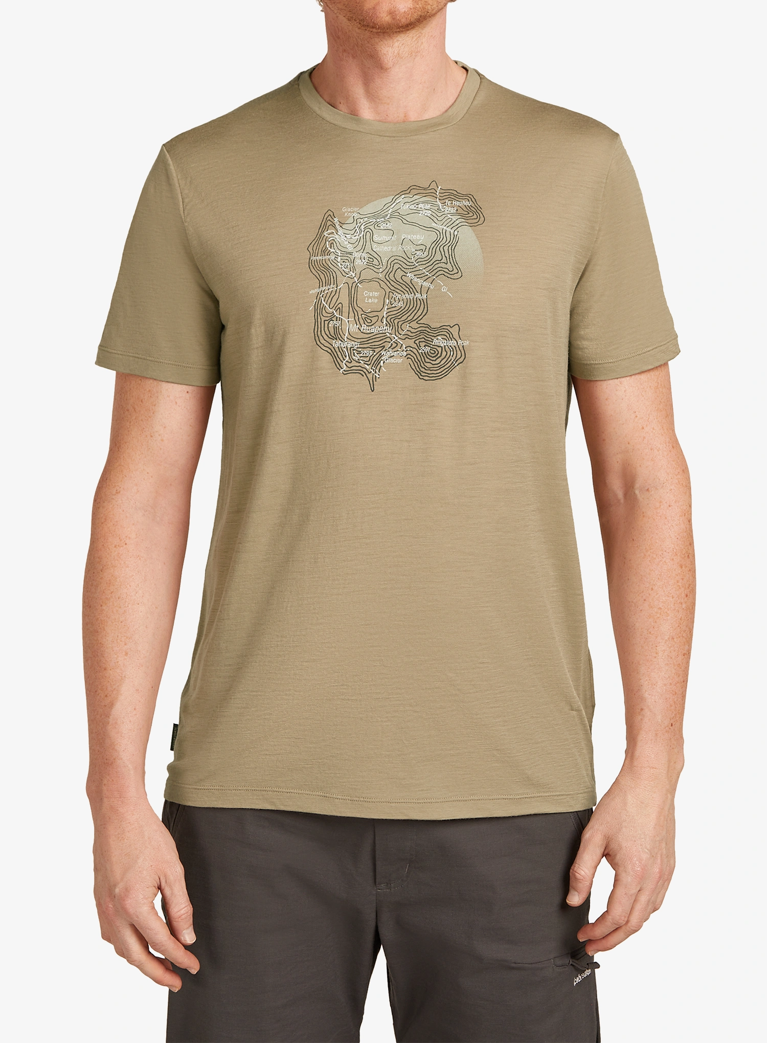 qweIcebreakerMerino150TechLiteSSTeeRuapehuRound_flagstone198265224443a.webp