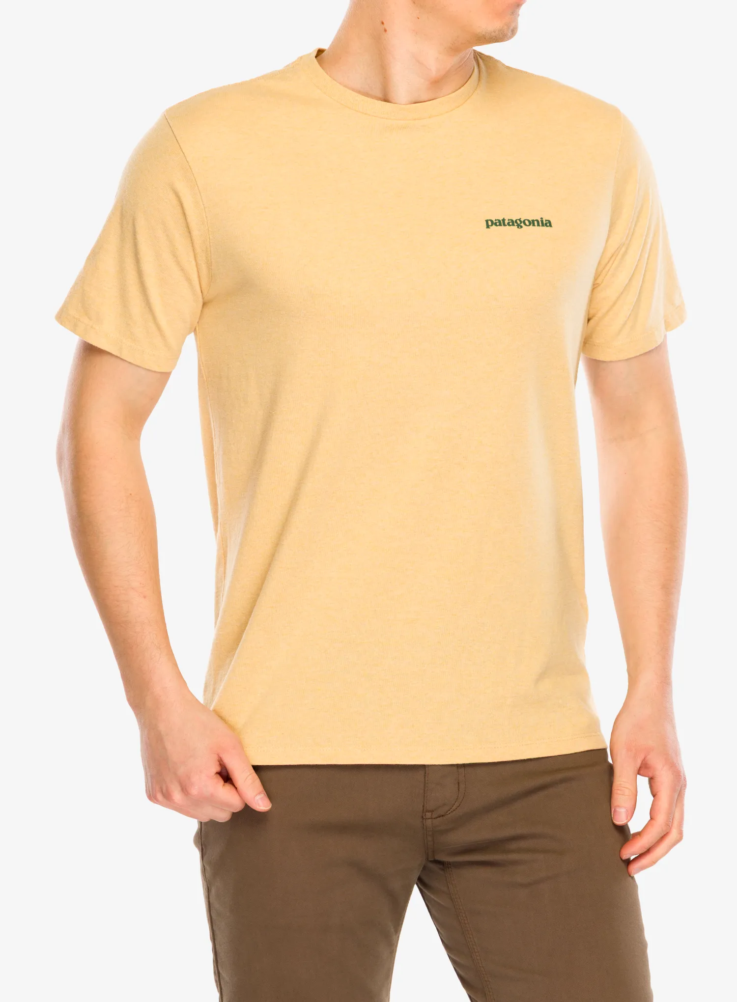 PatagoniaFlyingFishResponsibili_Tee_flyingfishcliffsandcove196924532816a.webp