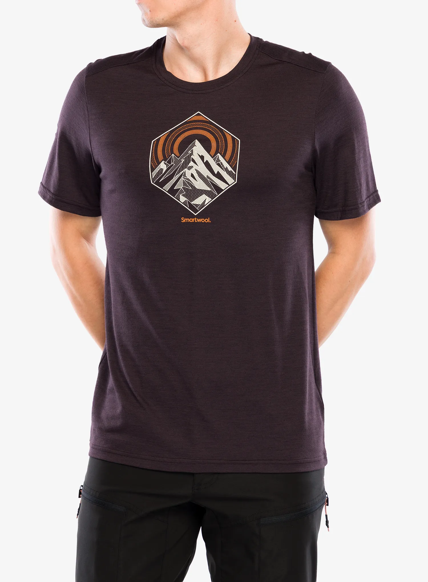 SmartwoolPeakEnergyActiveShortSleeveGraphicTee_minkheather197803735755a.webp