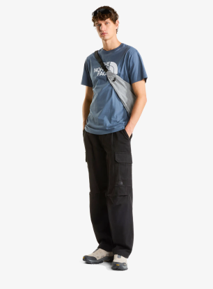 Тениска с щампа The North Face Evolution Half Dome Regular SS - granite grey