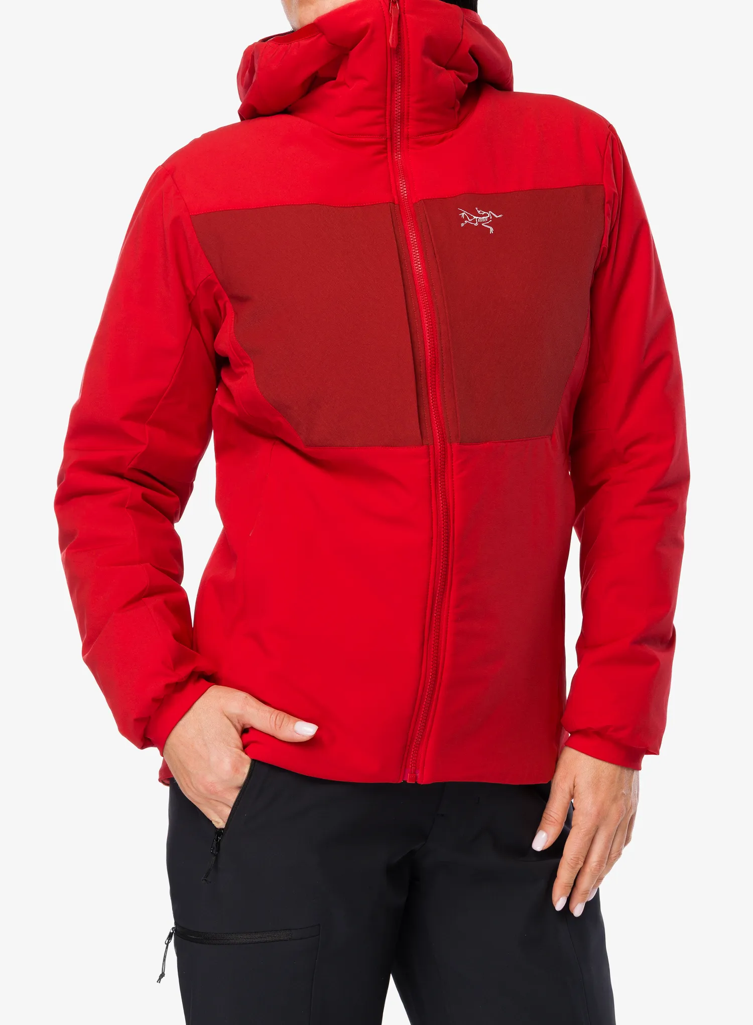 Дамско яке Arcteryx Proton Heavyweight Hoody - heritage/heritage