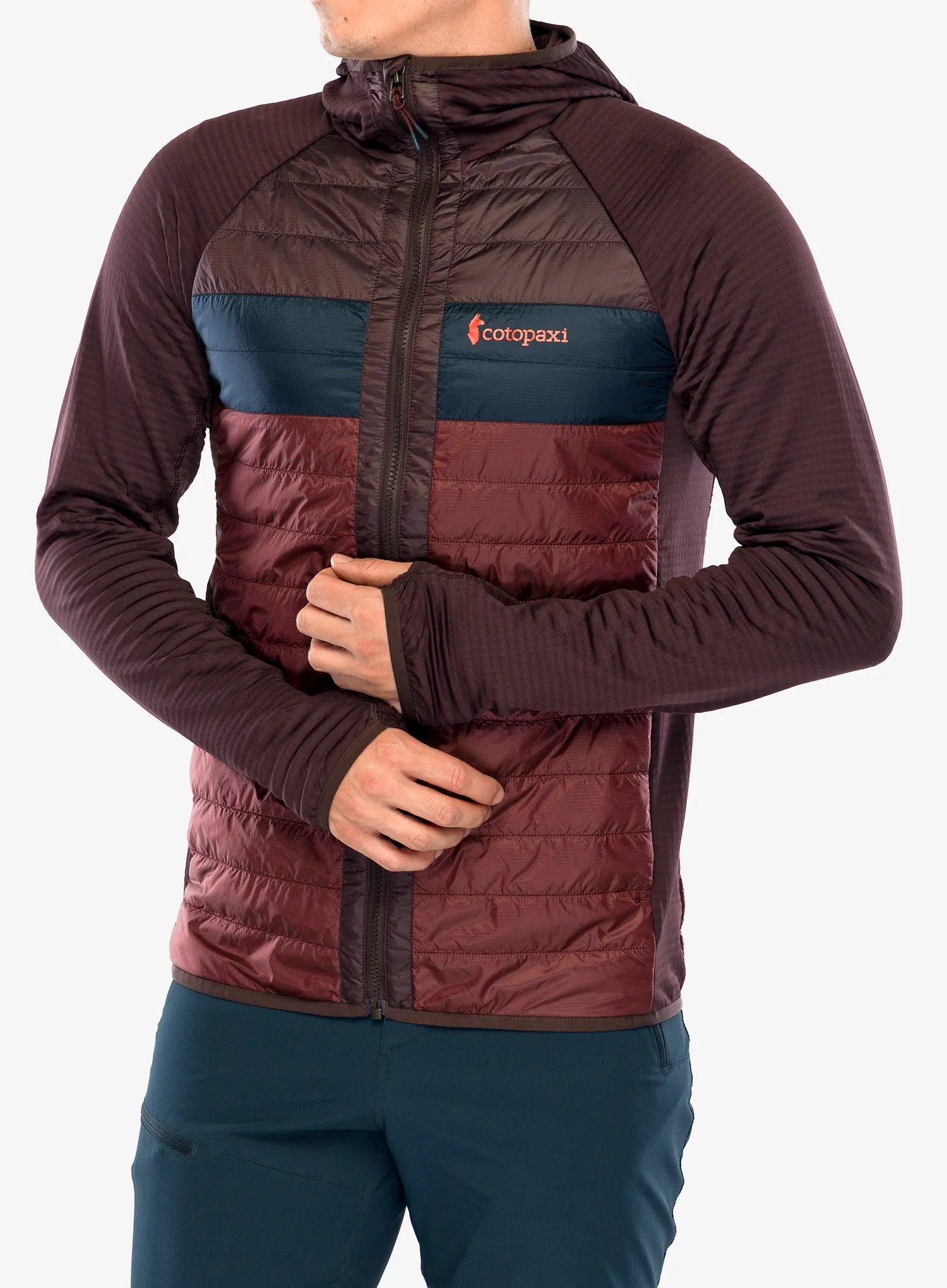 CotopaxiCapaHybridInsulatedHoodedJacket_coffeechestnut_196928128572_466.webp