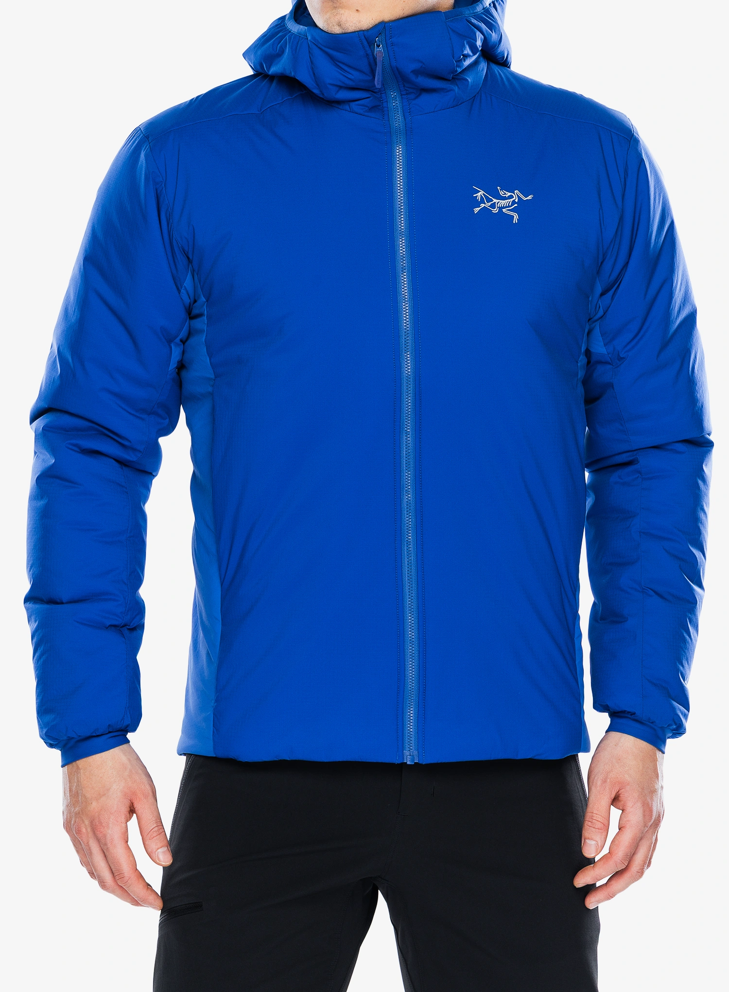 ArcteryxAtomSVHoody_vitality623555679691a.webp