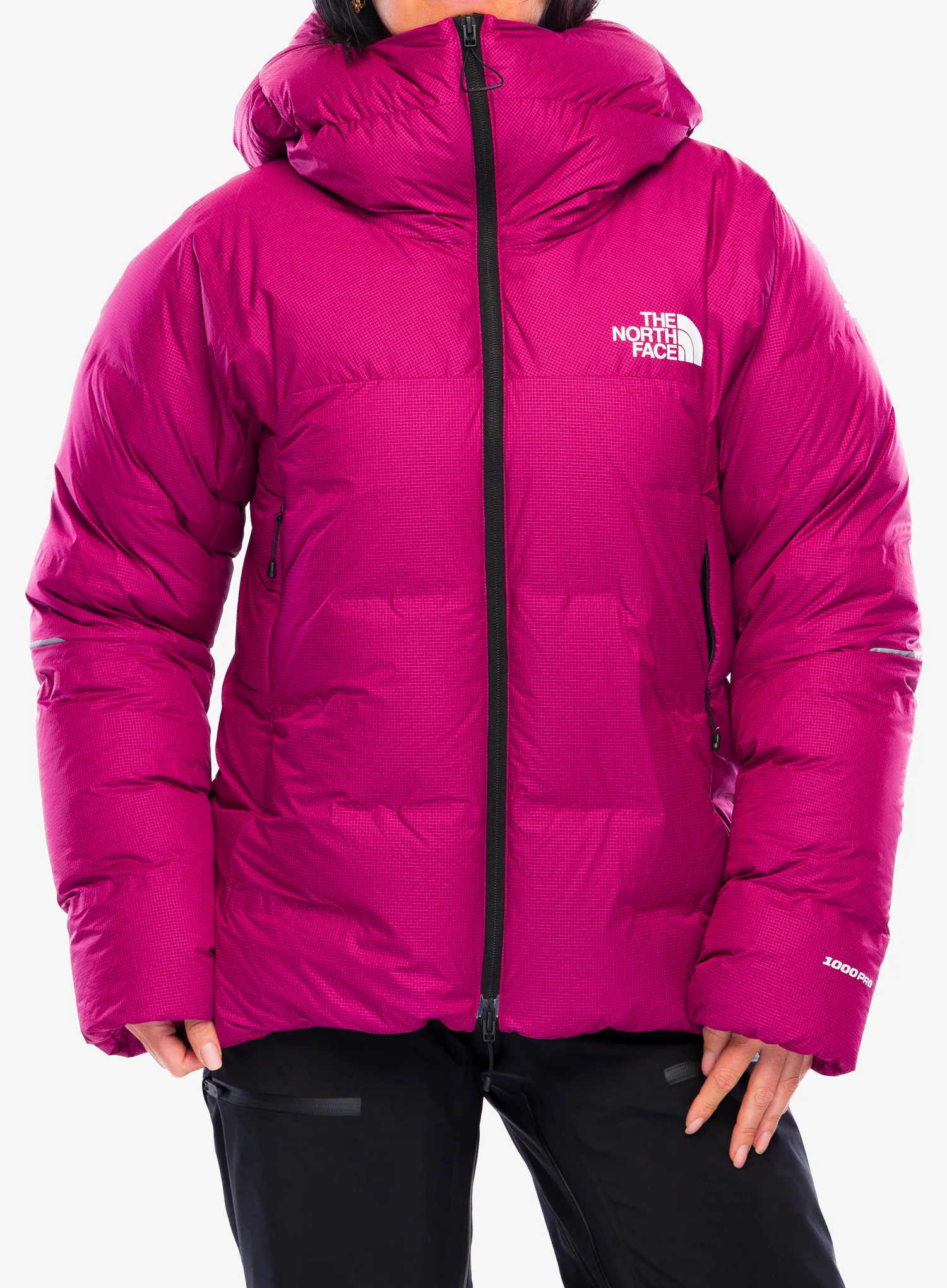 TheNorthFaceSummitCloudDownAMKParka_laligura197804304790a.webp