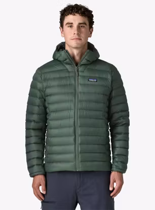 PatagoniaDownSweaterHoody_treelinegreen_fw26_199346207829_1_477.webp