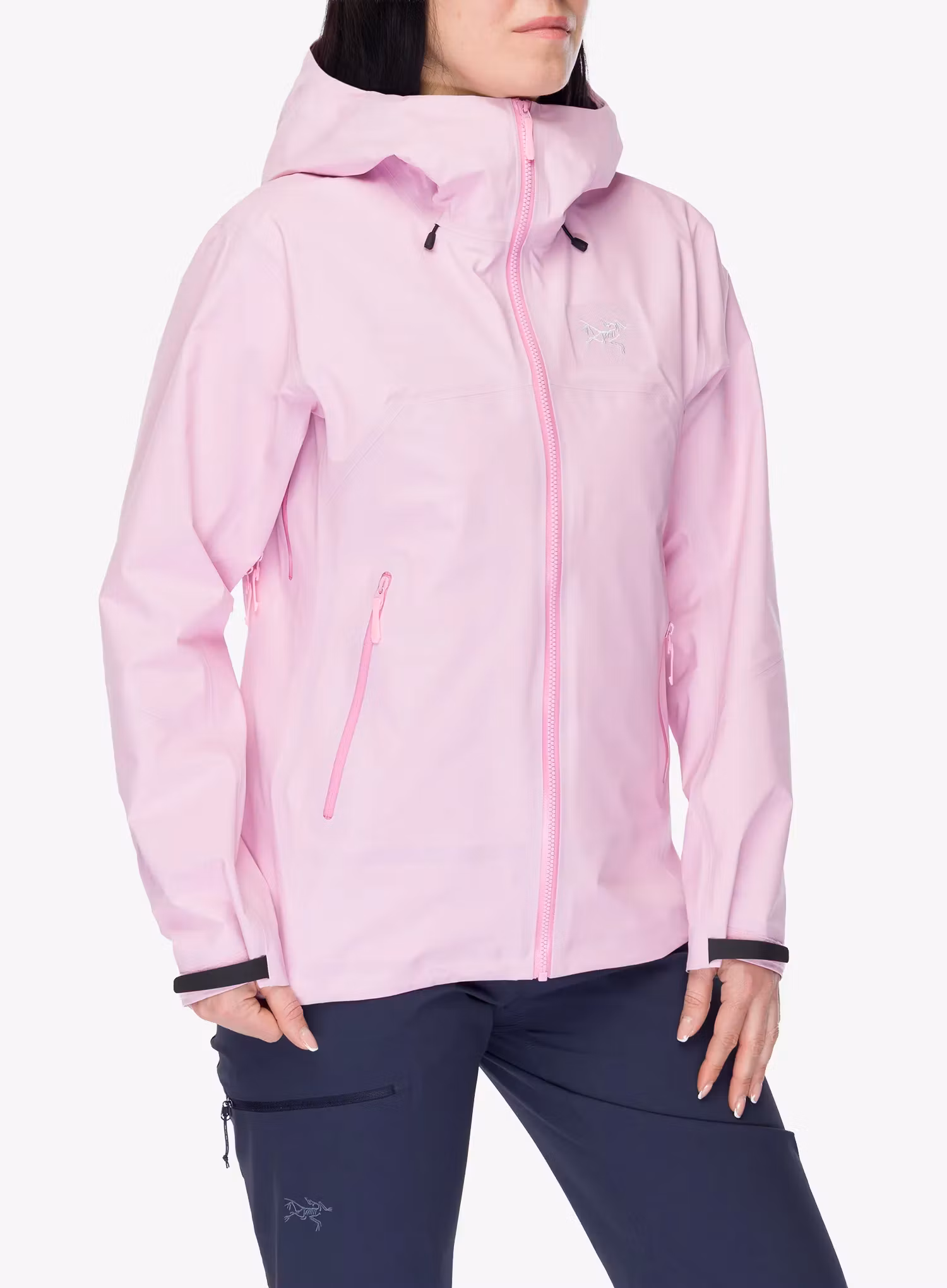 ArcteryxBetaSLJacket_pineberry623555872702a.webp