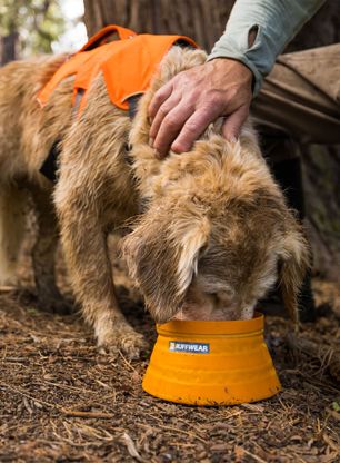 Купа за куче Ruffwear Bivy Collapsible Dog Bowl - salamander orange