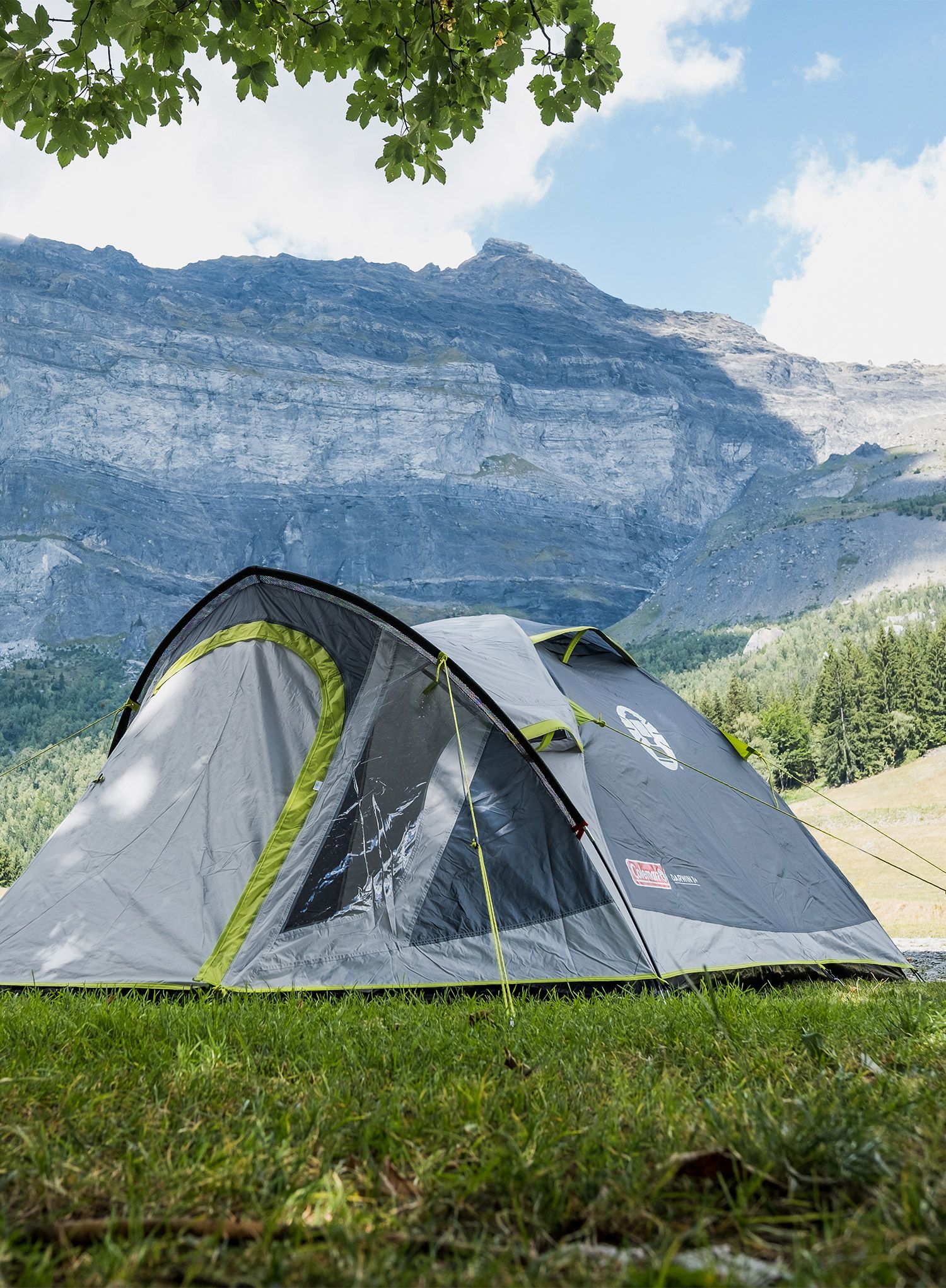 Триместна палатка Coleman Darwin 3 Plus - grey/green