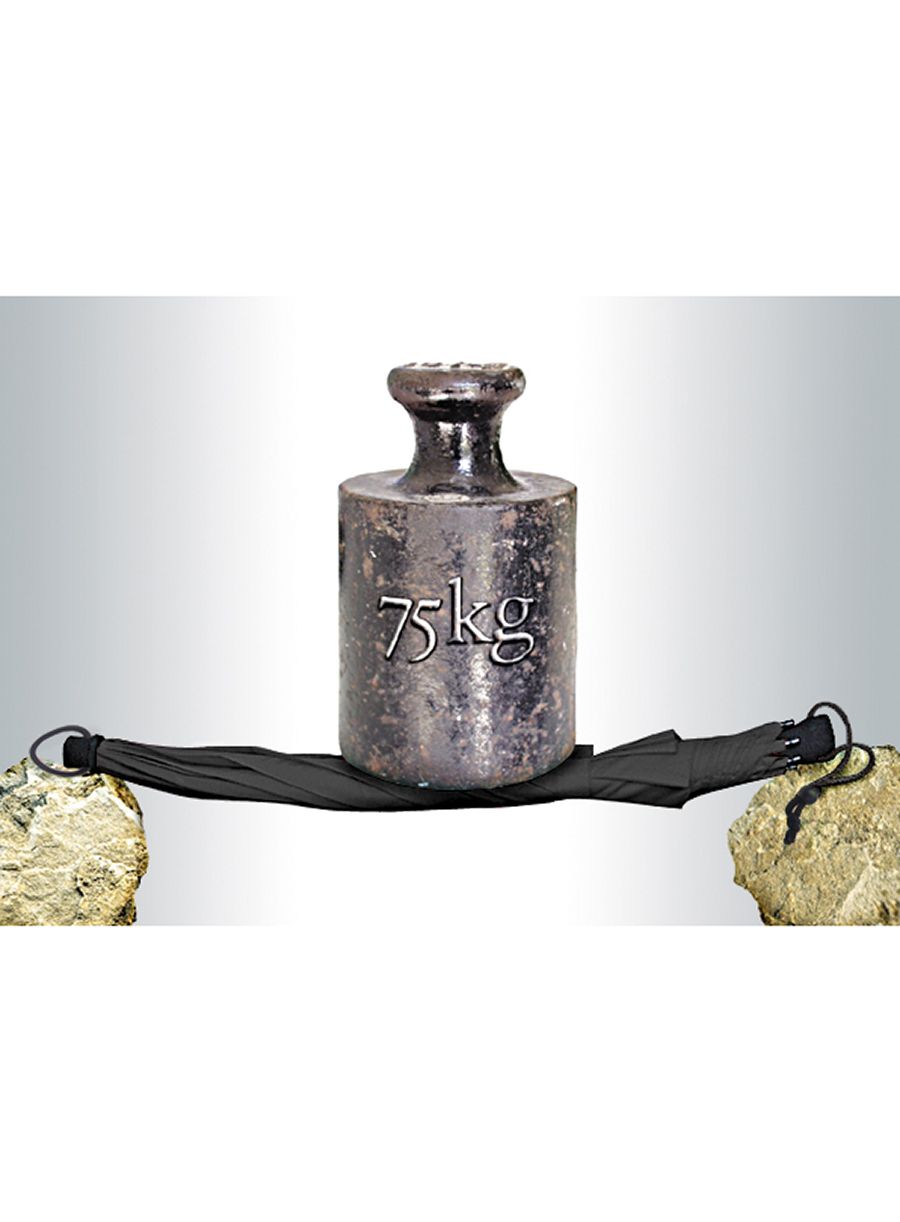 Чадър Euroschirm Birdiepal Outdoor - black