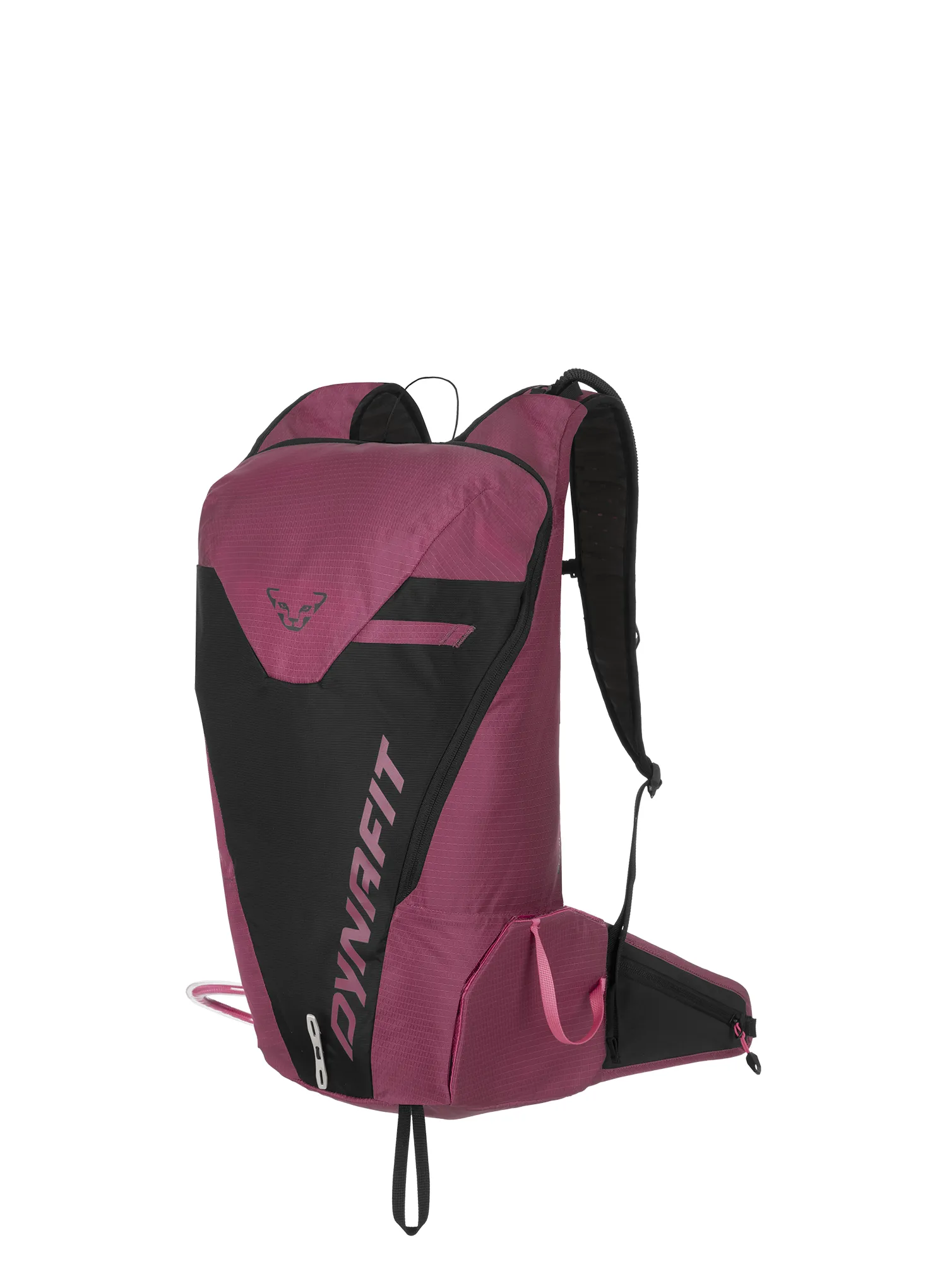 DynafitMezzalama20Backpack_magentablackout4053866830799a.webp