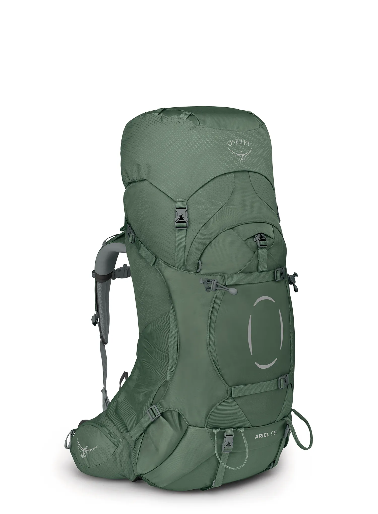 OspreyAriel55_koseretgreen843820199420a.webp