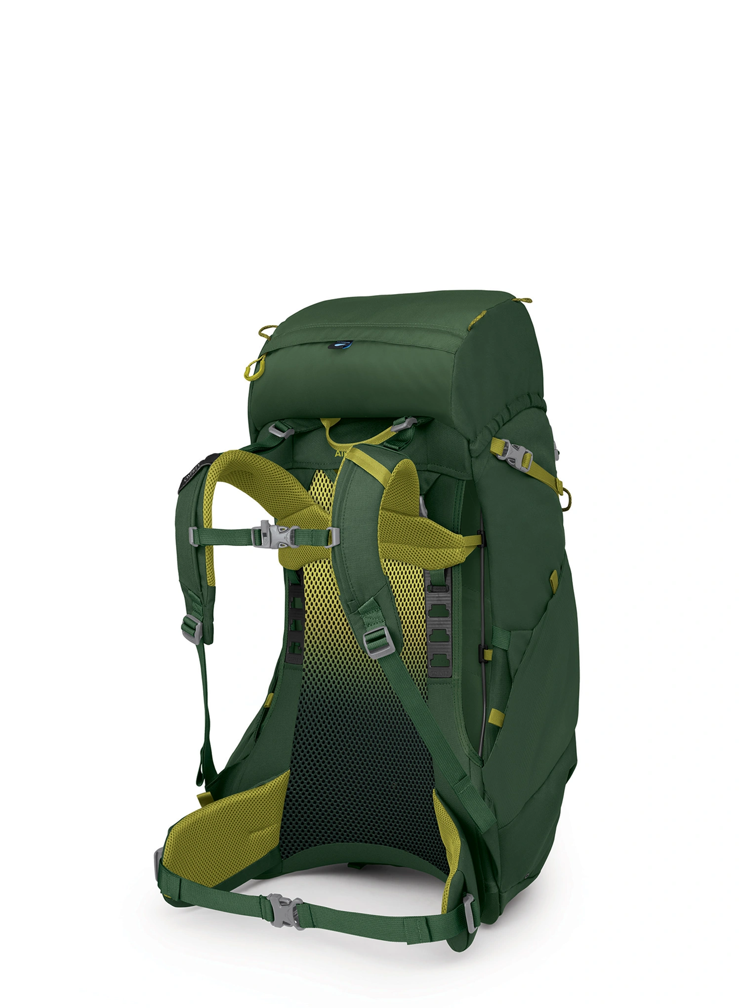 Туристическа раница за деца Osprey Ace 38 - green canopy