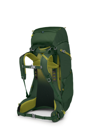 Детска туристическа раница Osprey Ace 50 - green canopy