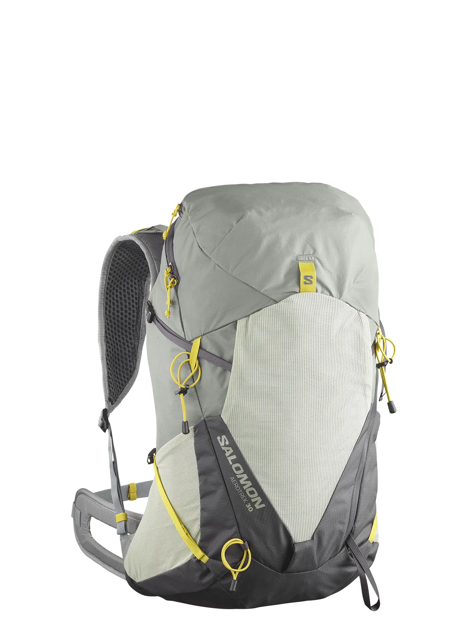 SalomonAerotrek30_sageseagrassiron_195751852319a.webp
