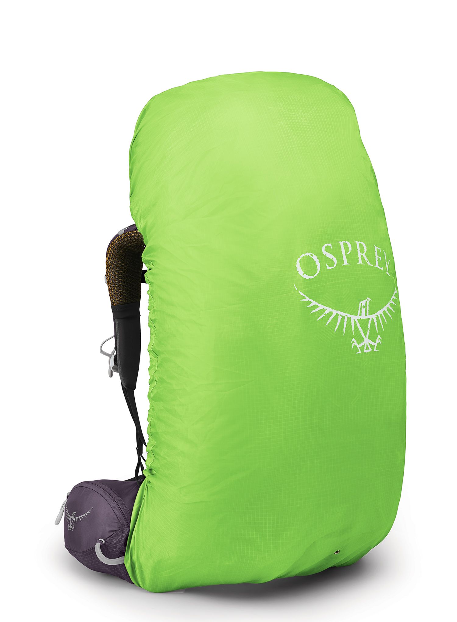 Дамска трекинг раница Osprey Aura AG 65 - enchantment purple