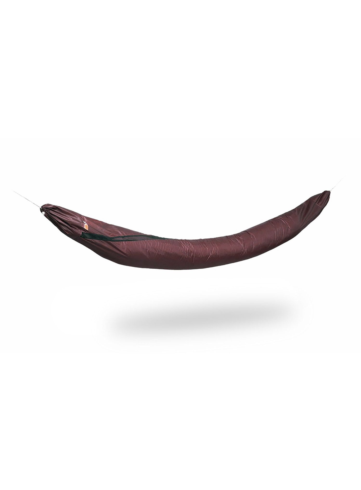 LesovikLarva_burgundyron_7915.jpg