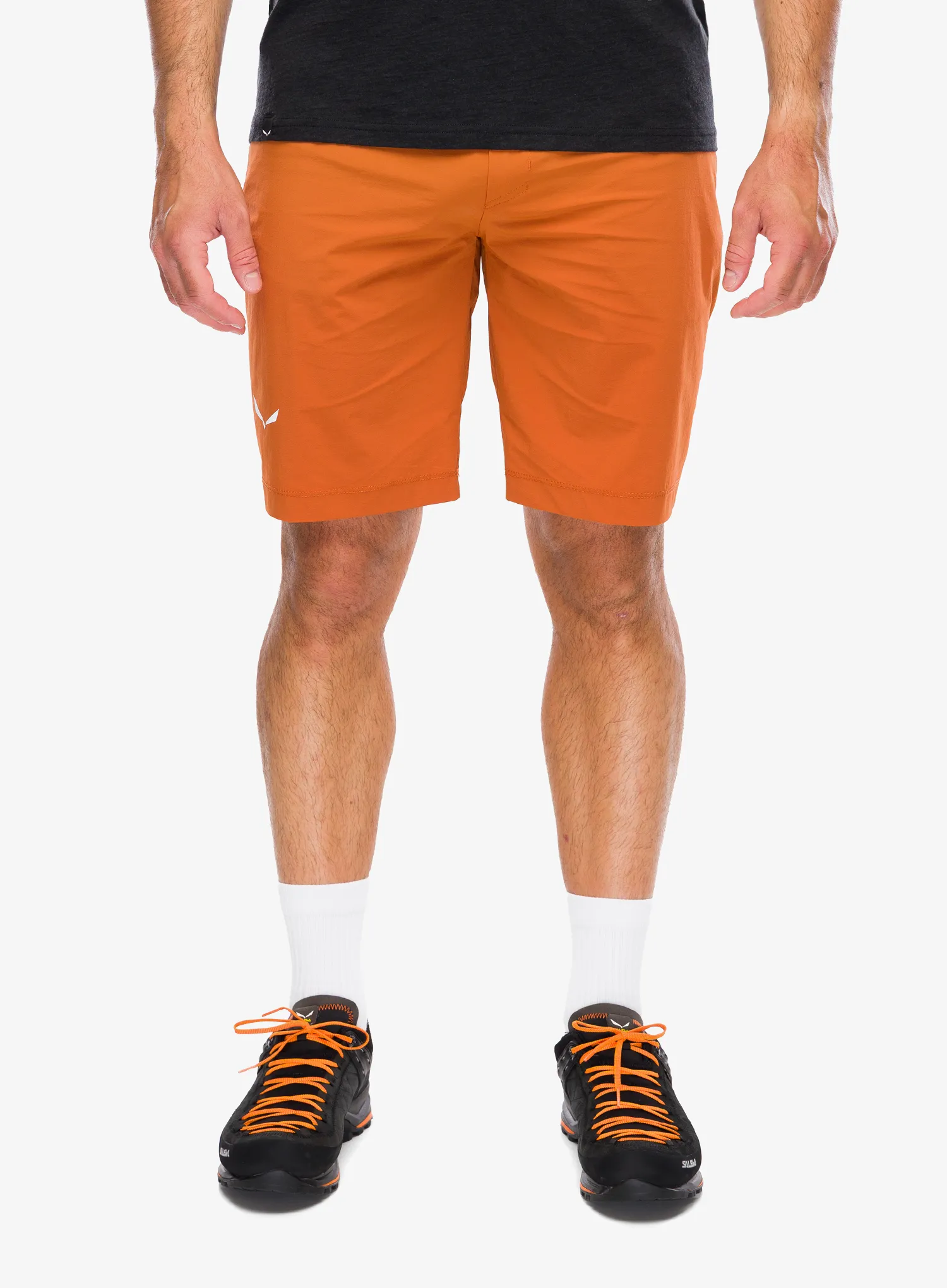 SalewaPuezTalvenoDSTShorts_bombaybrow4053866740869a.webp