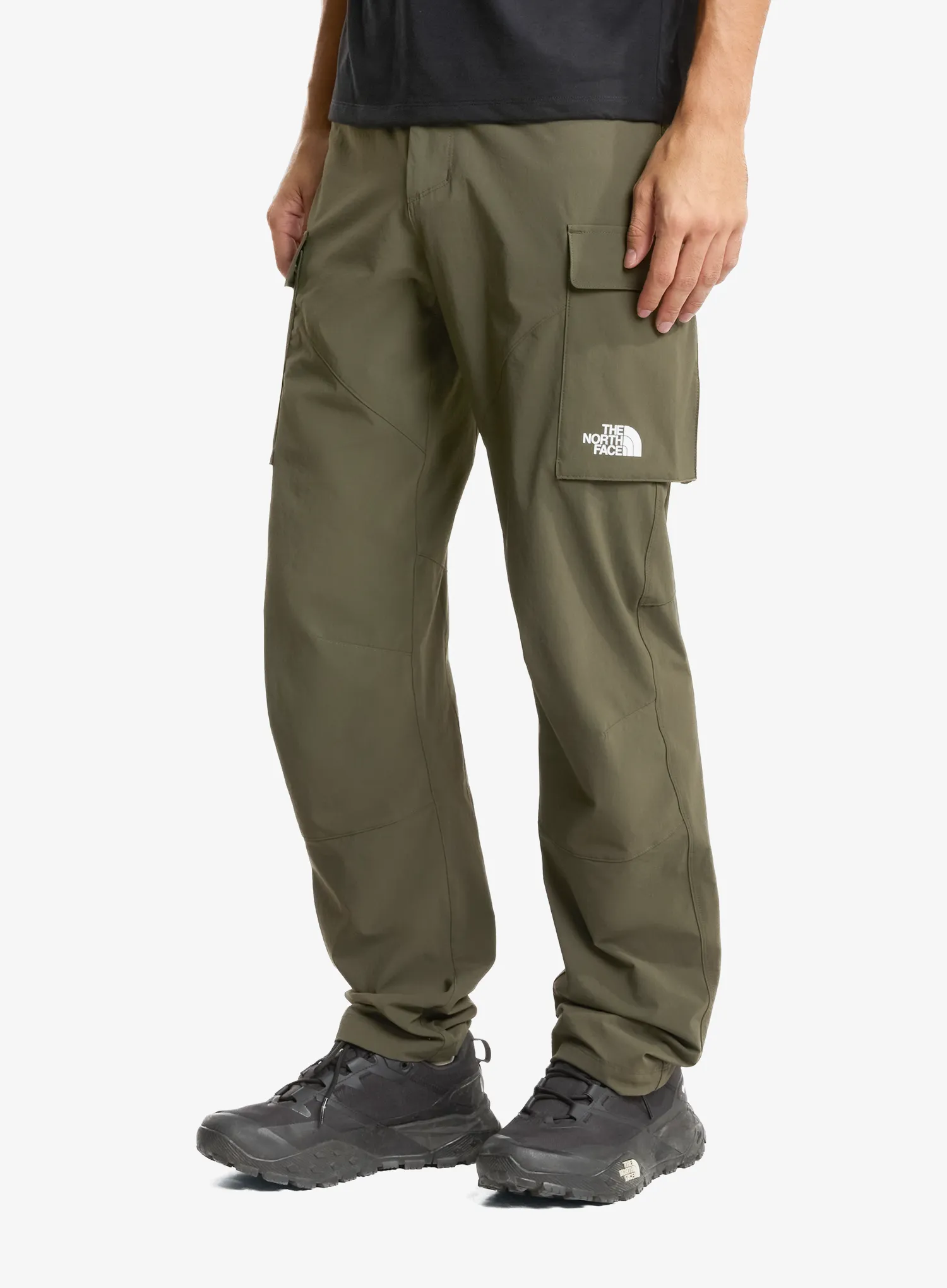 qweTheNorthFaceExplorationCargoPantsnewtaupegreen198266068176a.webp