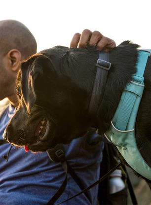 Нагръдник за куче Ruffwear Front Range Harness L/XL - river rock green