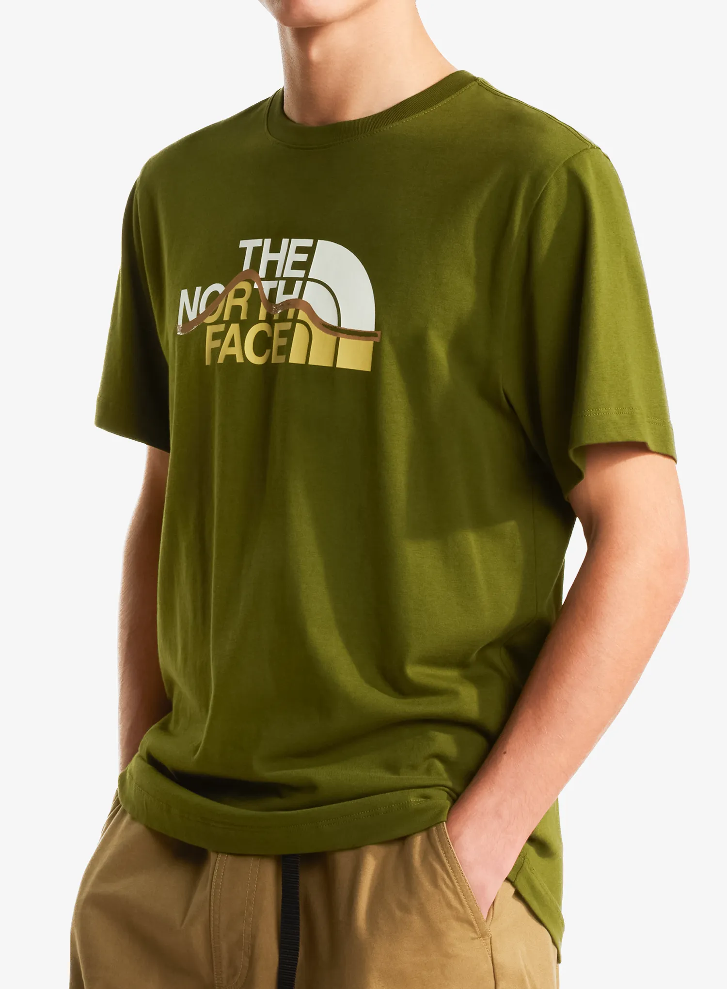 qweTheNorthFaceMountainLineRegularSSTeewoodlandgreen198266087283a.webp