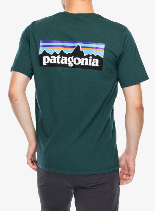 Фланелка Patagonia P-6 Logo Responsibili-Tee - cascade green