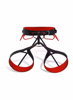 ArcteryxC_QuenceHarness_black_dynasty_171.jpg
