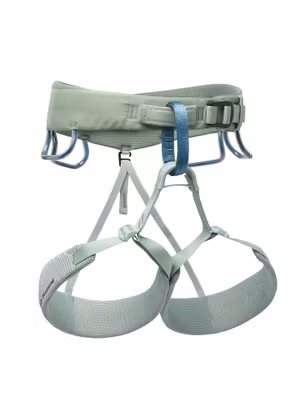 BlackDiamondMomentumHarness_desertsage793661605539_862.jpg
